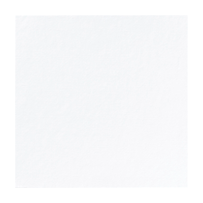 Dunilin lautasliina 36kpl 48x48cm 1/4 valkoinen