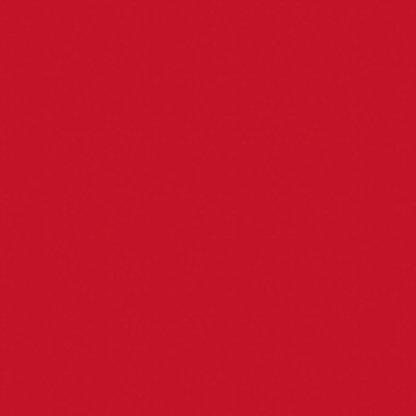 Duni Dunilin punainen lautasliina 40x40cm 45kpl
