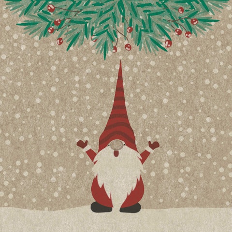 Duni Paper+Design liina 25kpl 24cm Naturals Happy Santas