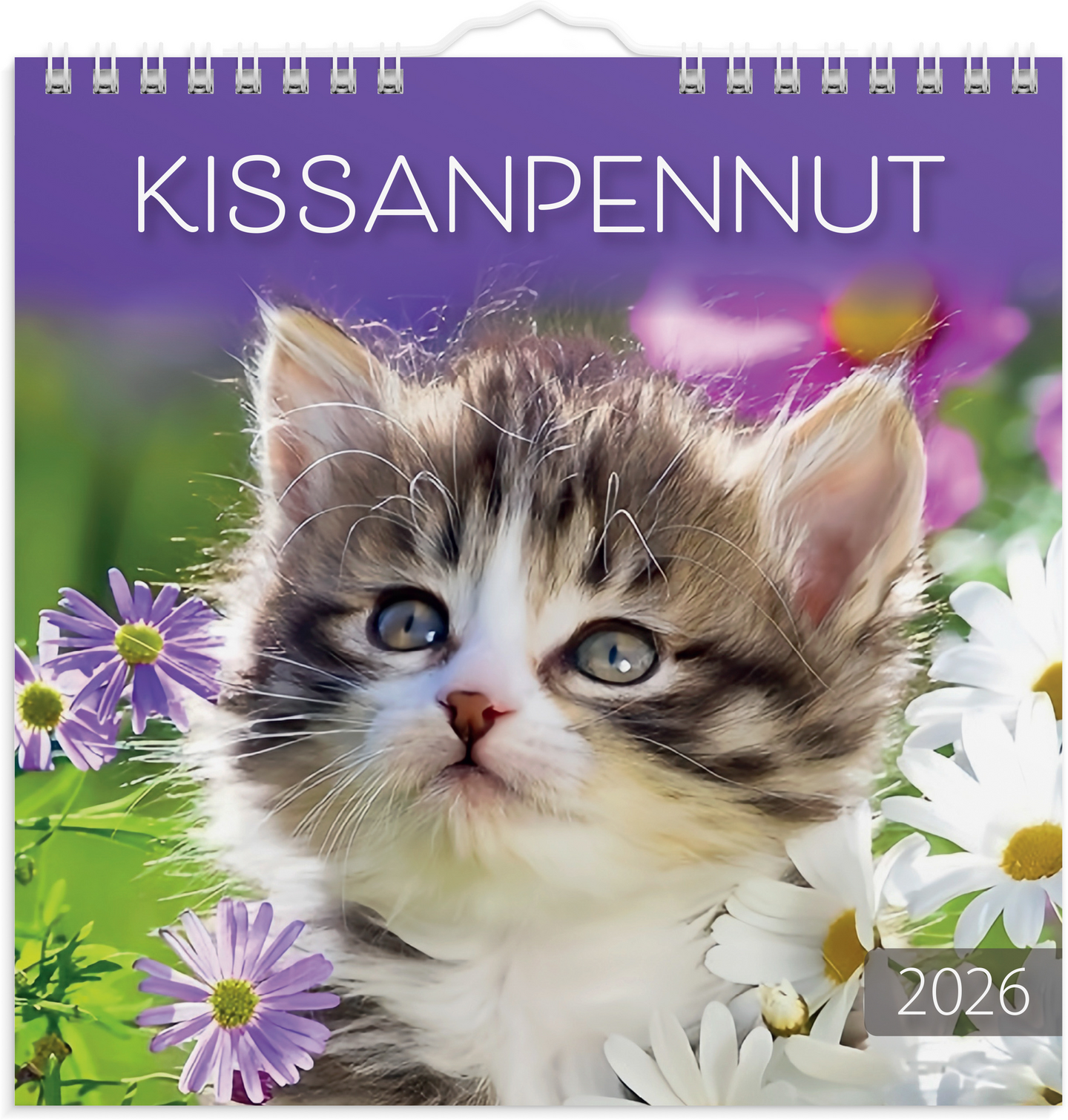 Burde seinäkalenteri 2026 kissanpennut