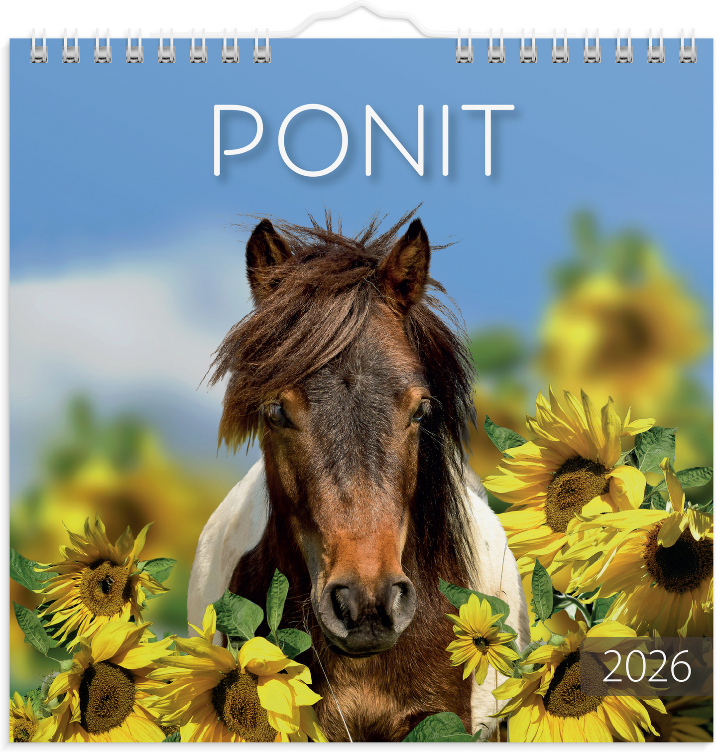 Burde seinäkalenteri 2026 ponit