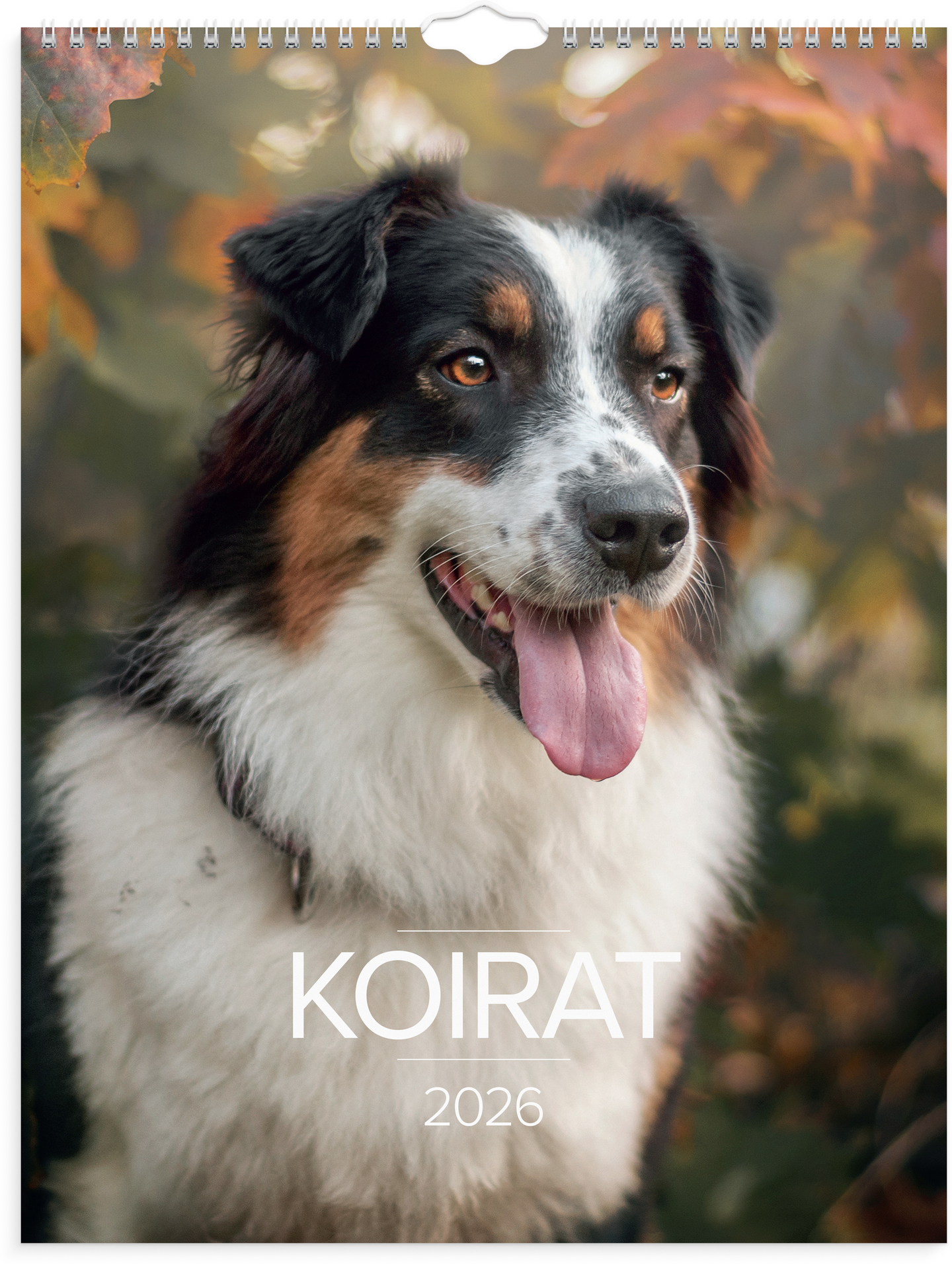 Burde seinäkalenteri 2026 koirat