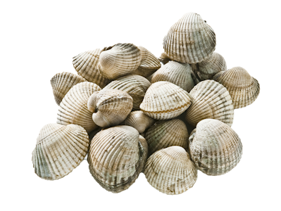 Orust Shellfish sydänsimpukka 1kg