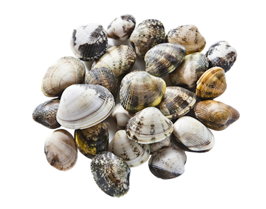 Orust Shellfish mattosimpukka 1kg