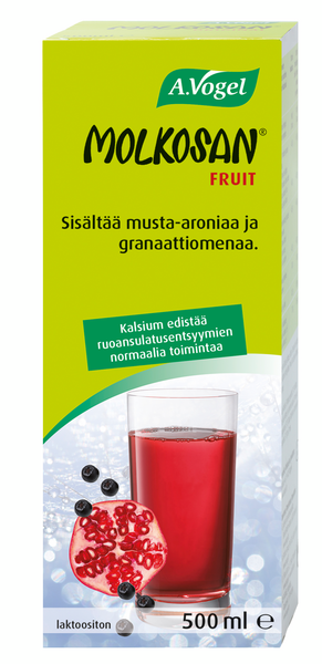 Molkosan Fruit 500ml laktoositon
