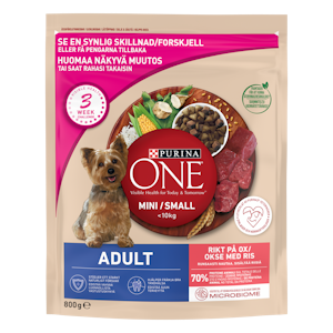 Purina ONE 800g Small Dog Adult Runsaasti Naudanlihaa, sisältää Riisiä koiranruoka