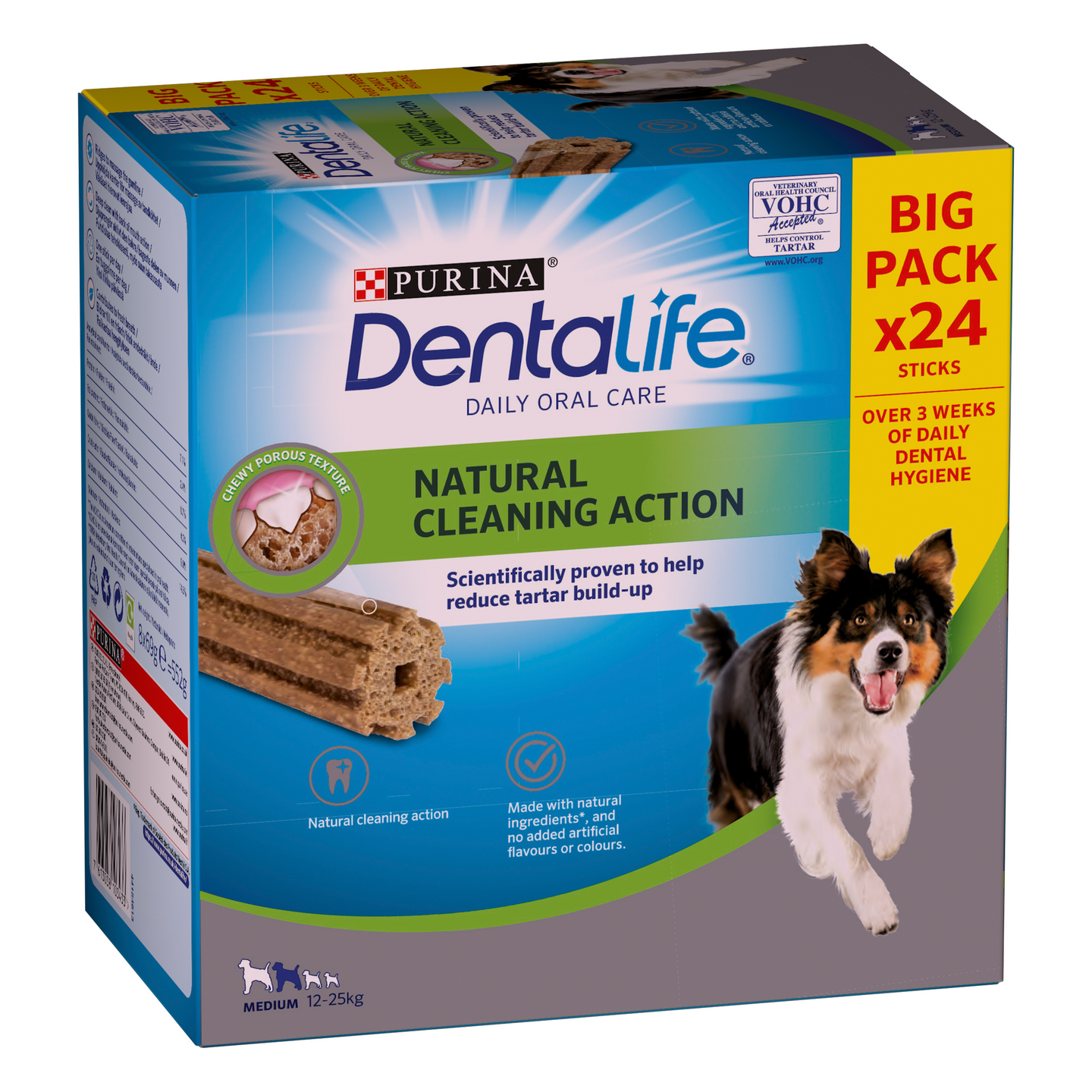 Purina Dentalife Medium Pack 40x552g QPA