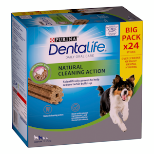 Purina Dentalife Medium Pack 40x552g QPA