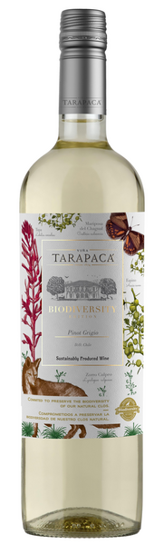 Tarapacá Biodiversity Edition Pinot Grigio 75cl 12,5%