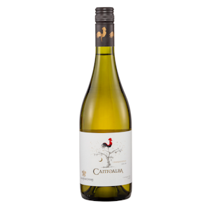 Cantoalba Chardonnay 2019 75cl 13,5%