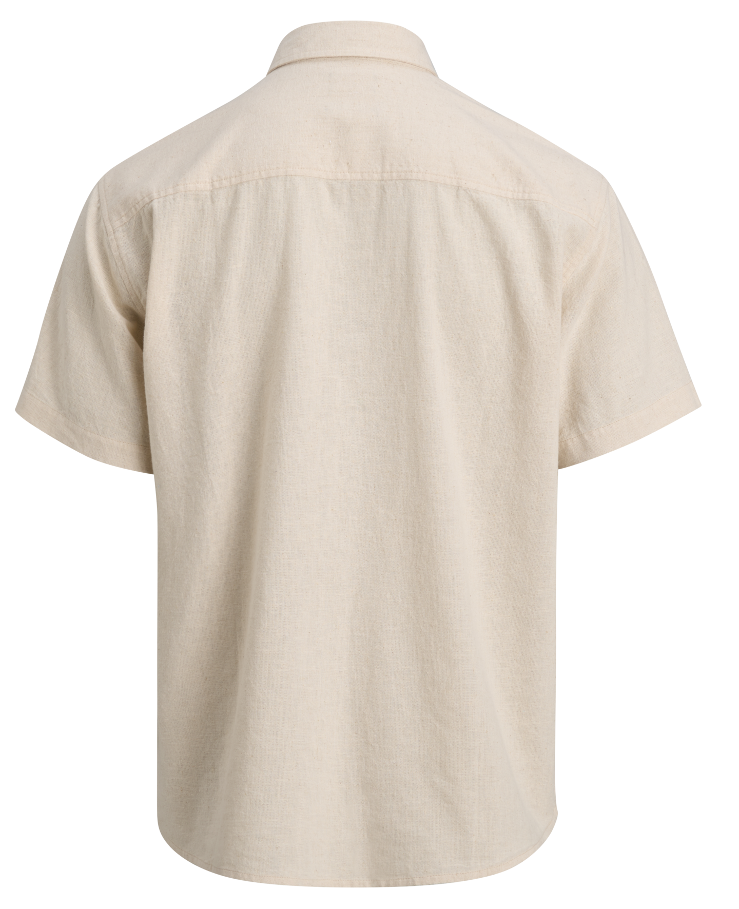 mywear amos paita