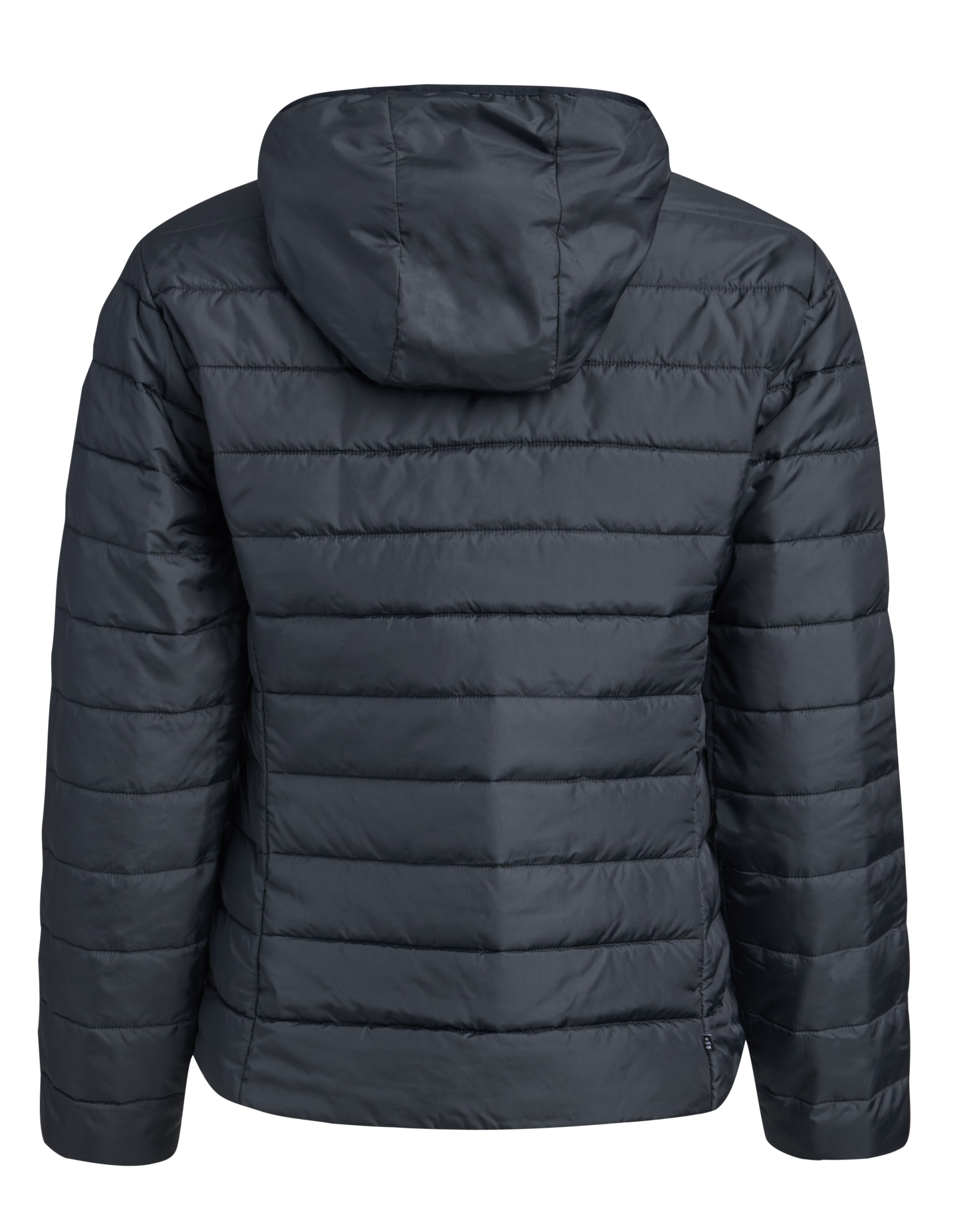 Adidas Slim naisten takki