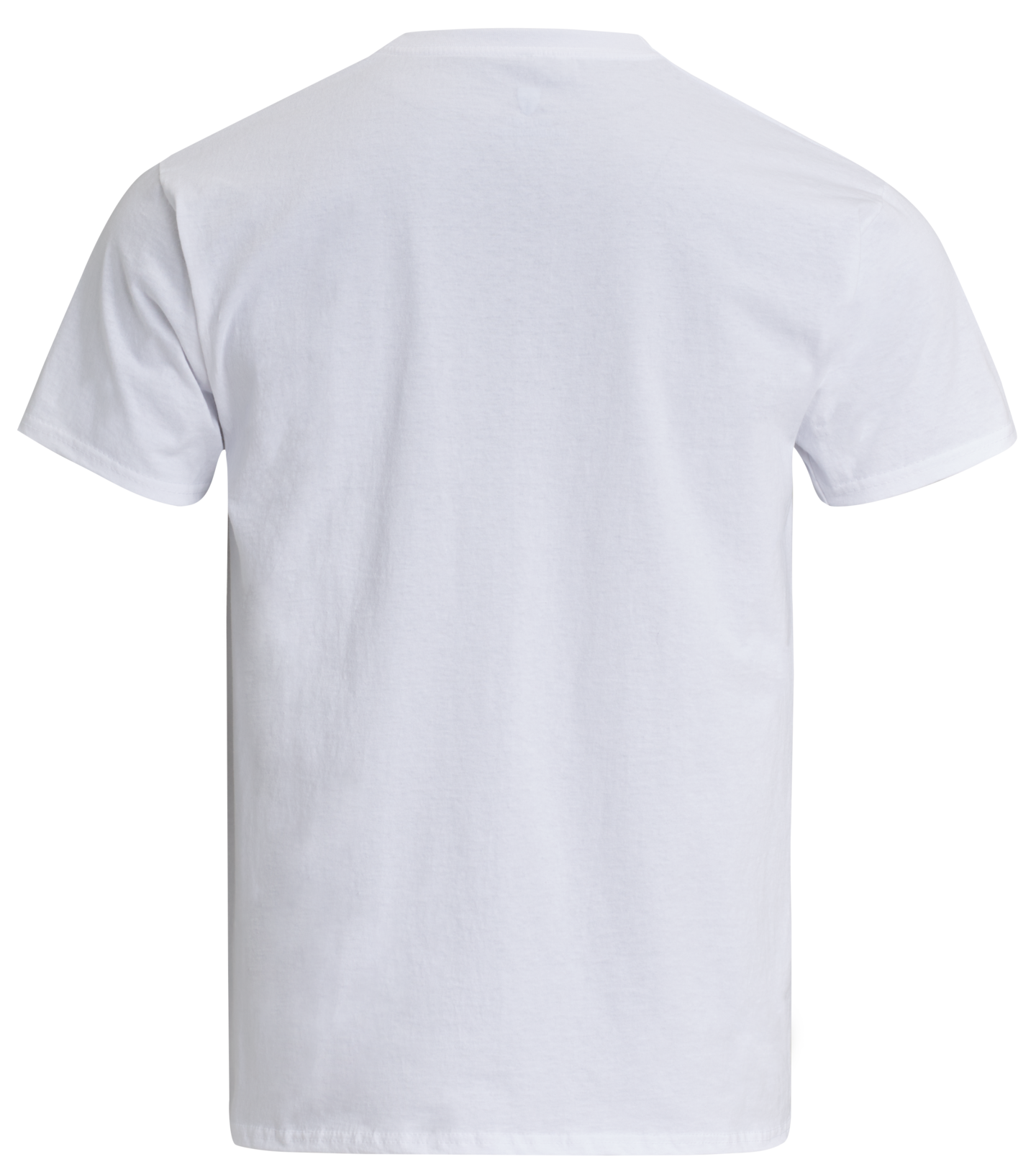 Palloliitto Suomi-fanipaita