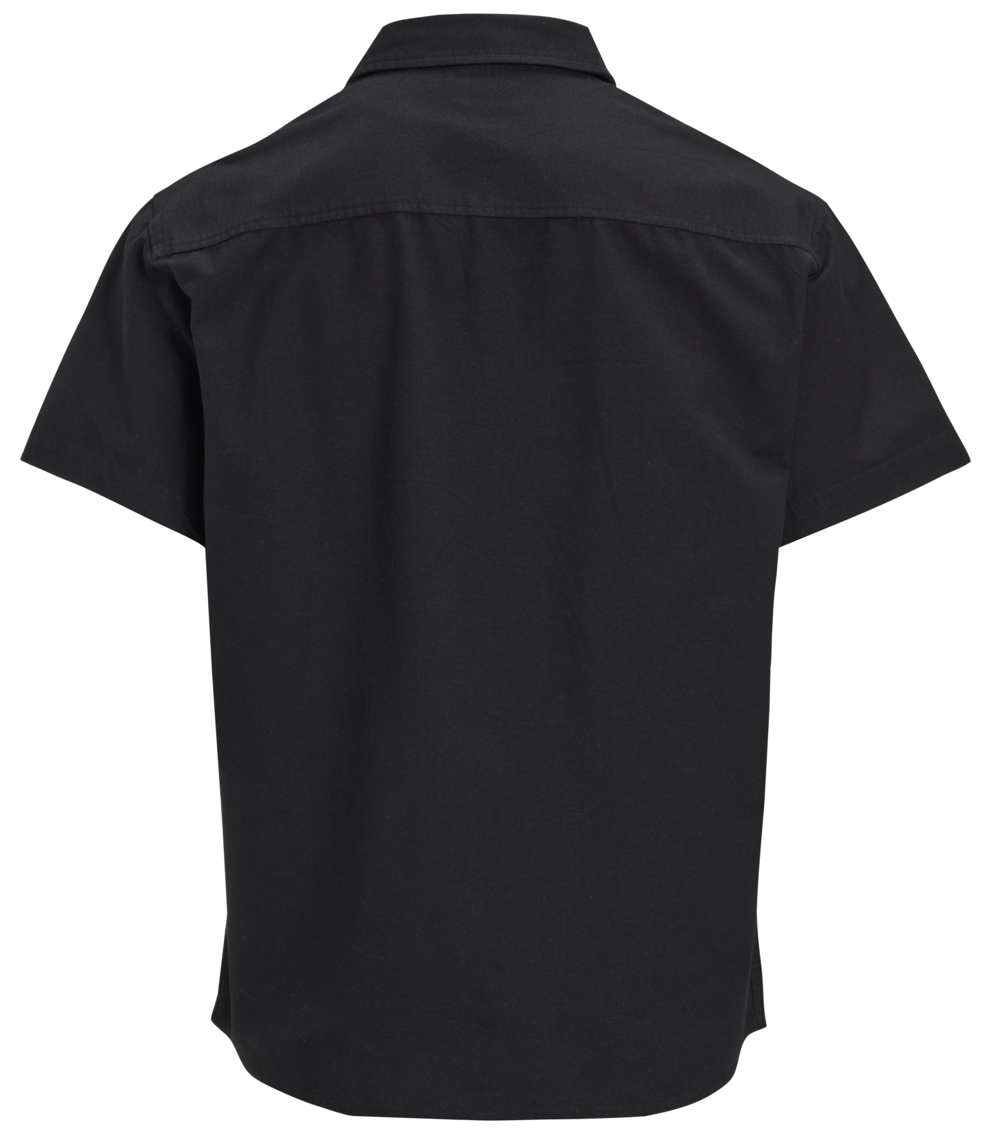 mywear amos paita
