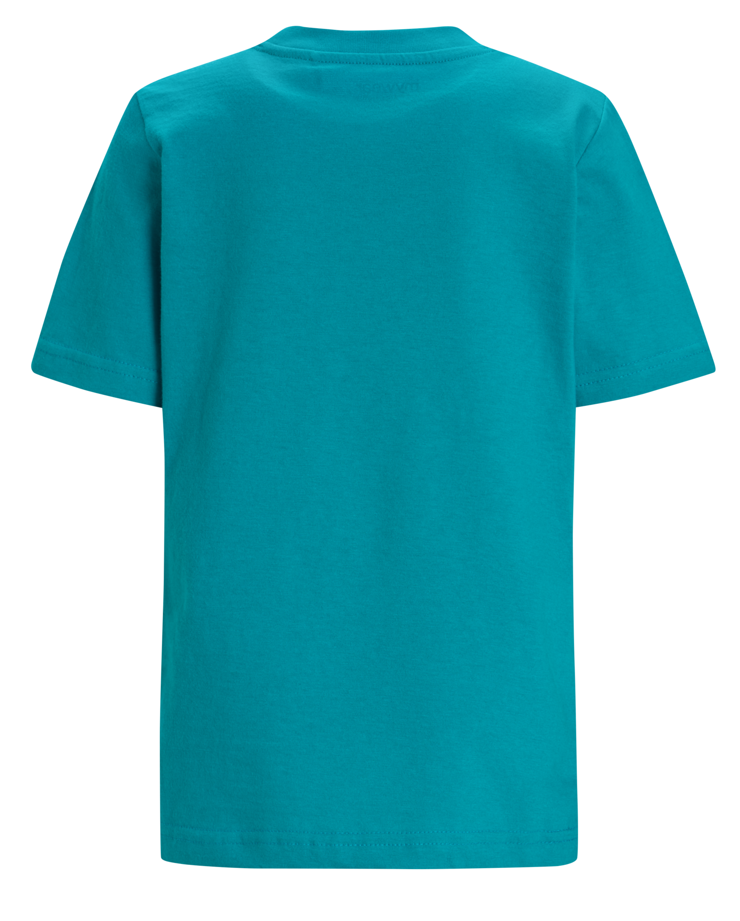 mw Emil t-paita petrooli