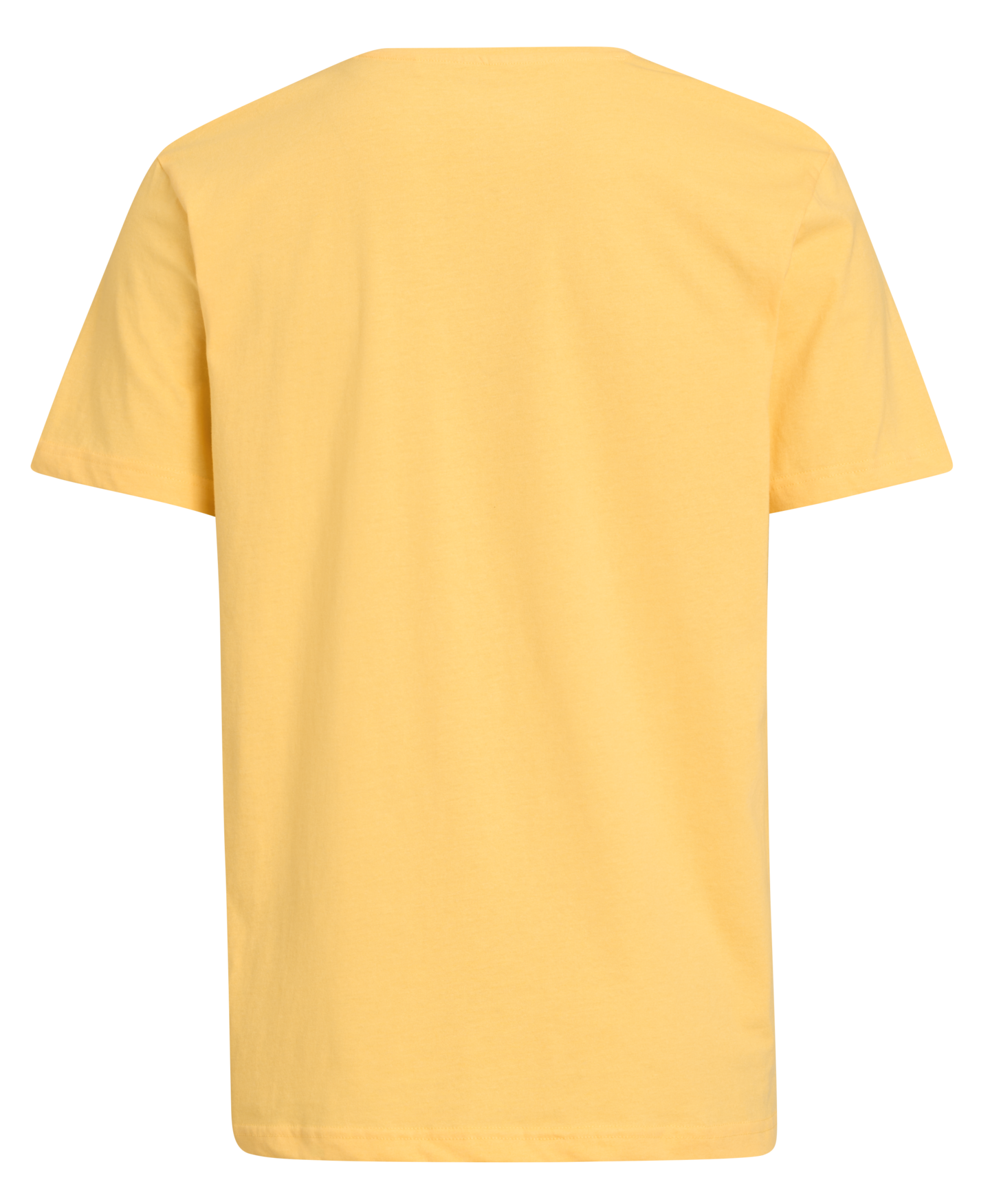 mywear Caius t-paita