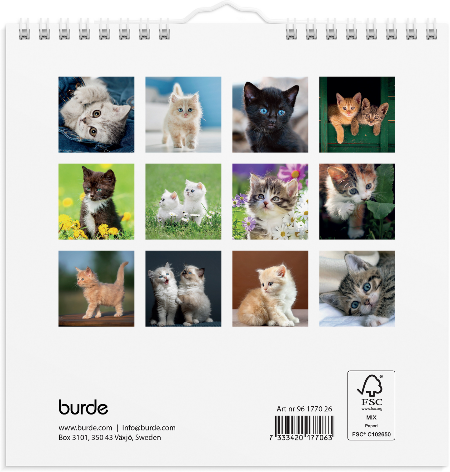 Burde seinäkalenteri 2026 kissanpennut