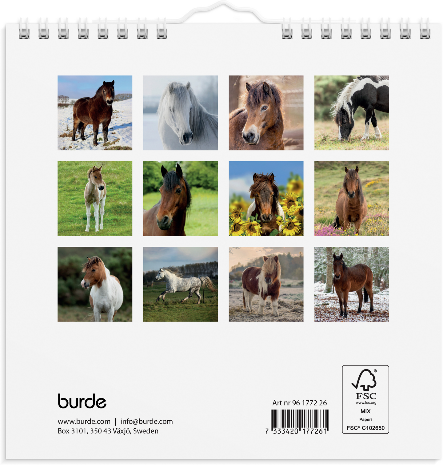 Burde seinäkalenteri 2026 ponit