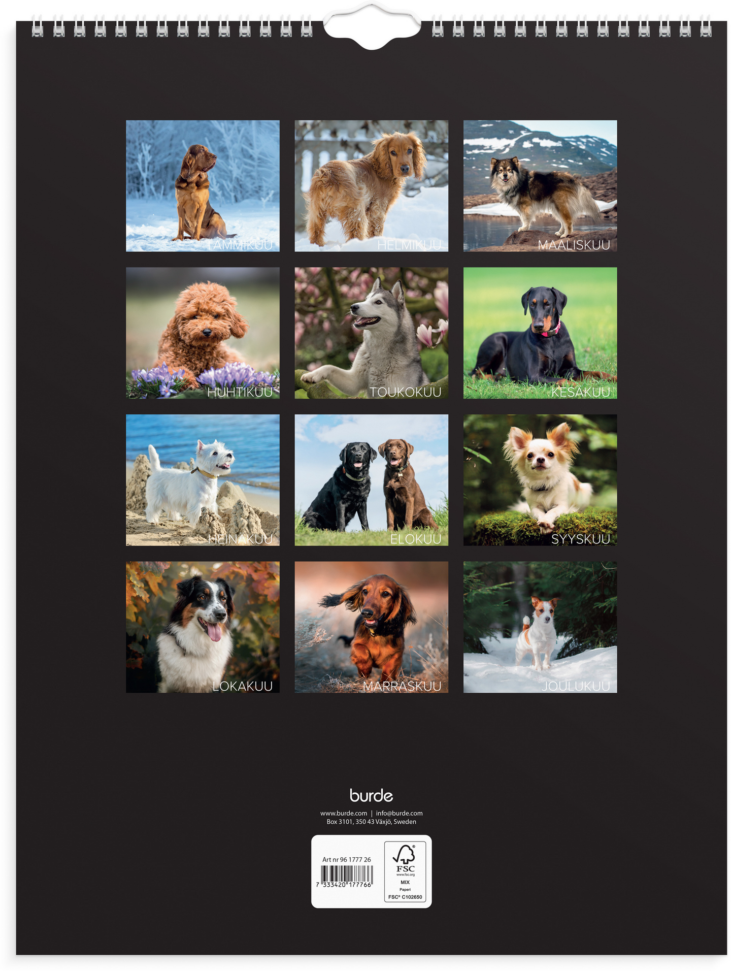 Burde seinäkalenteri 2026 koirat