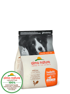 Almo Nature holistic dog 2kg M kana-riisi