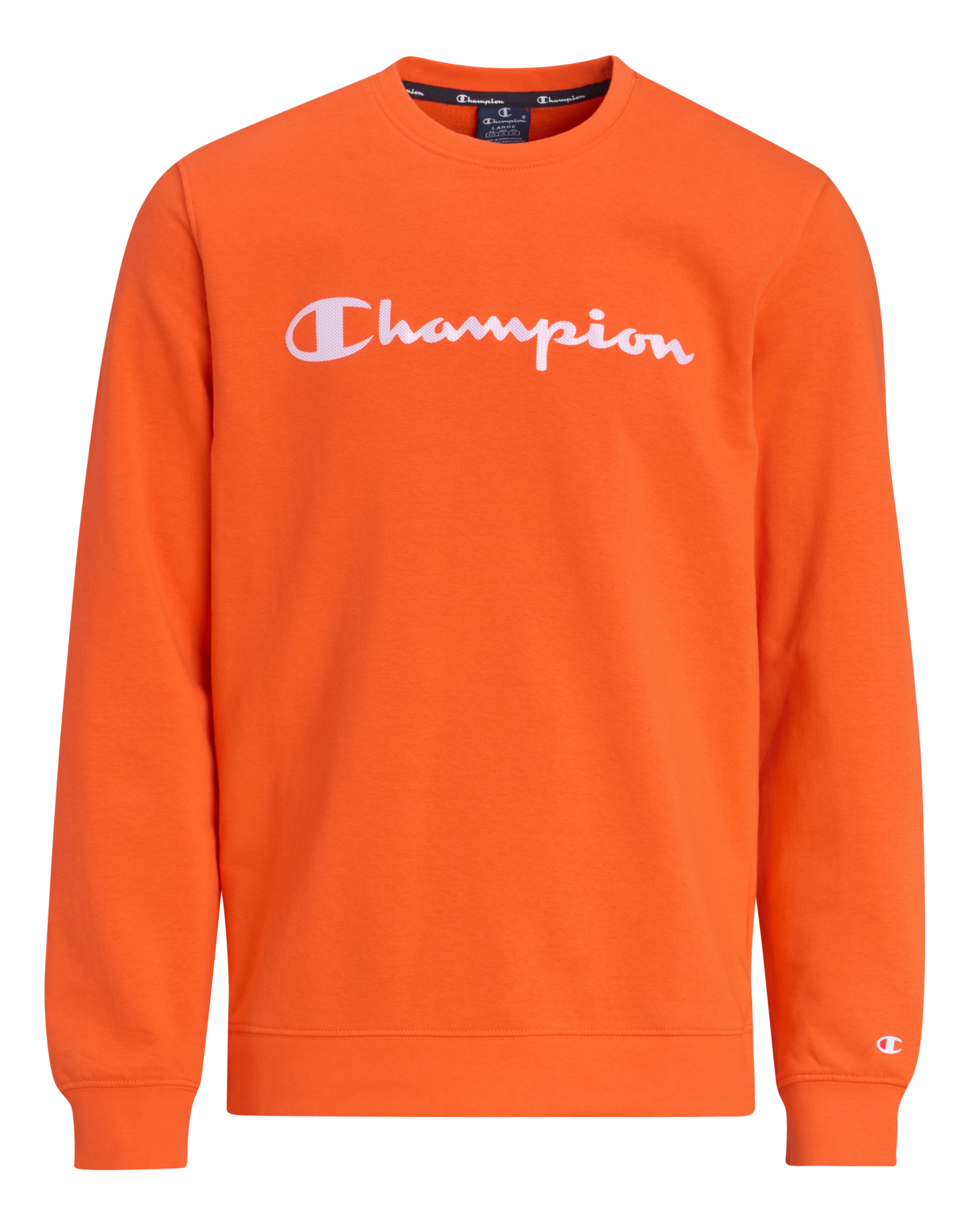 Champion M collegepaita