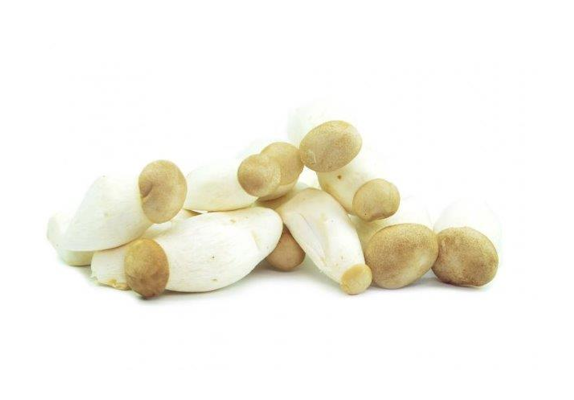 Mini Kuningasosterivinokas 500g DE/KR