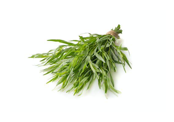 Rakuuna tuore 100g DE/NL/KE/FR 1lk