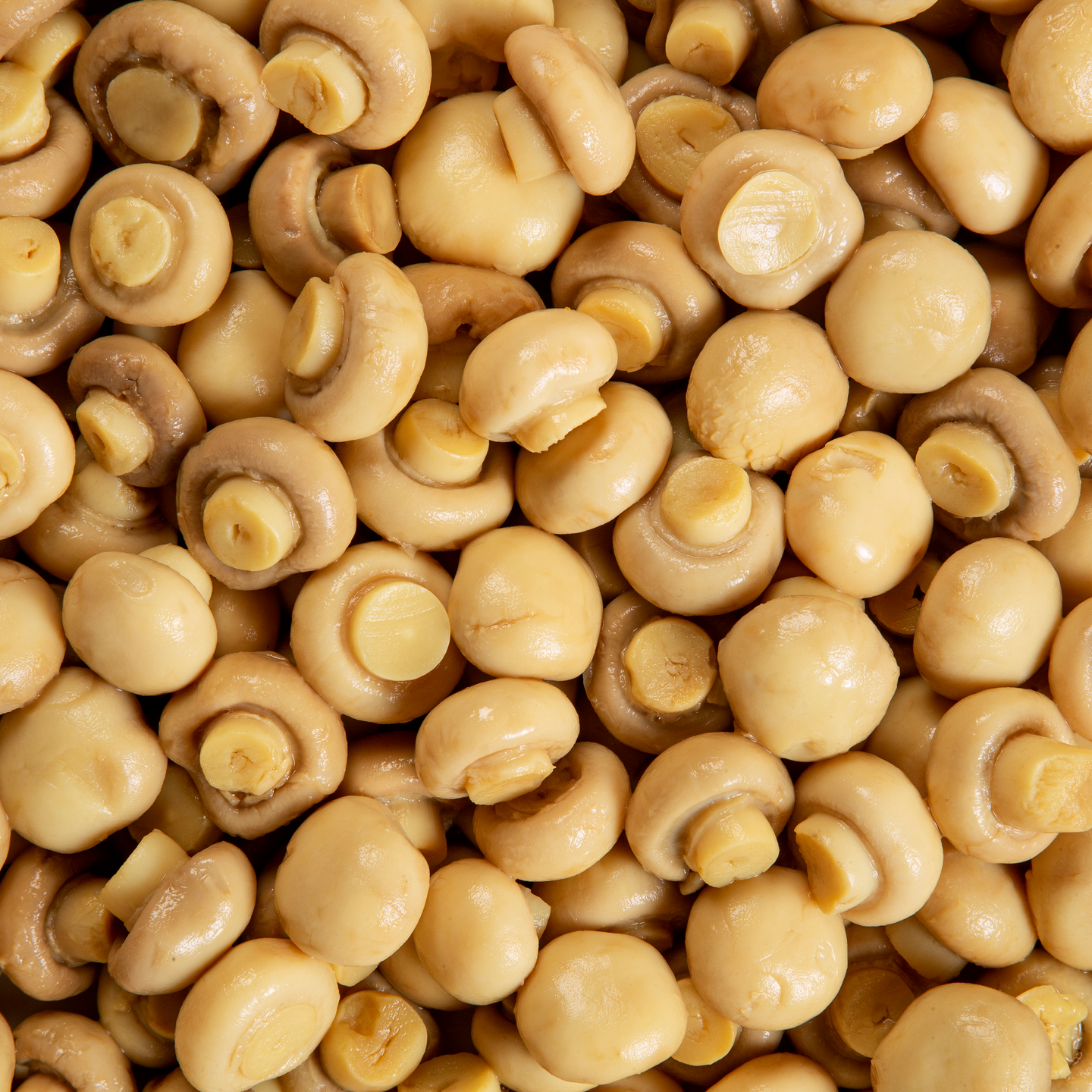Lutece kokonaiset herkkusienet 2550g/1380g