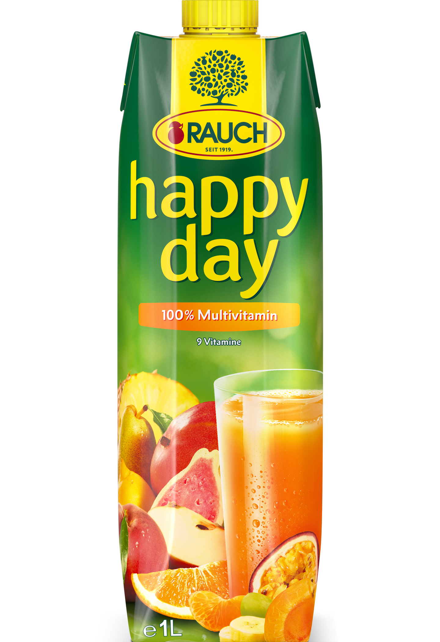 Rauch Happy day multivitamiinitäysmehu 1L