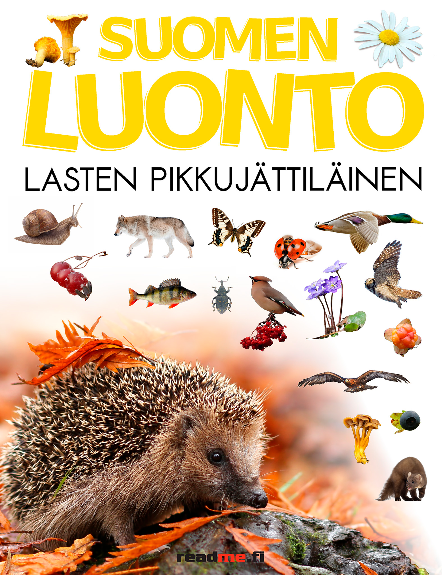 Suomen luonto-Pikkujättiläinen | K-Ruoka Verkkokauppa