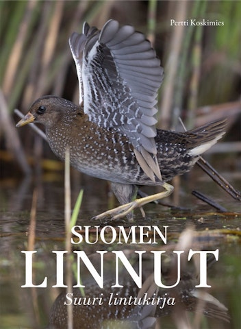 Suomen Linnut Suuri lajiopas