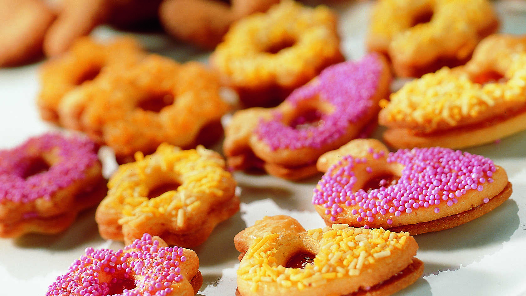 Paratiisilinnut ja kukat