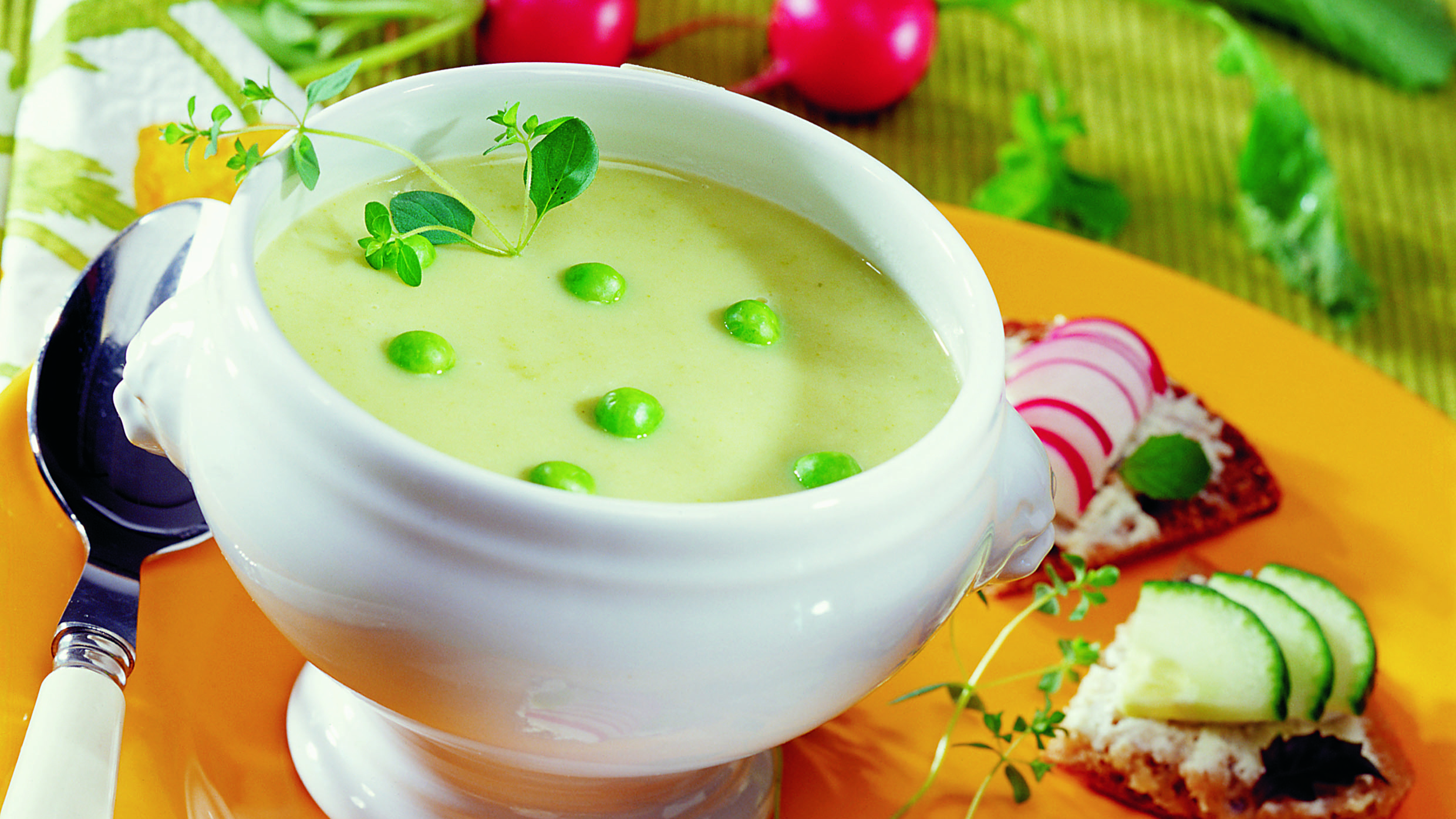 Vipeltäjän vihreä kasvissosekeitto