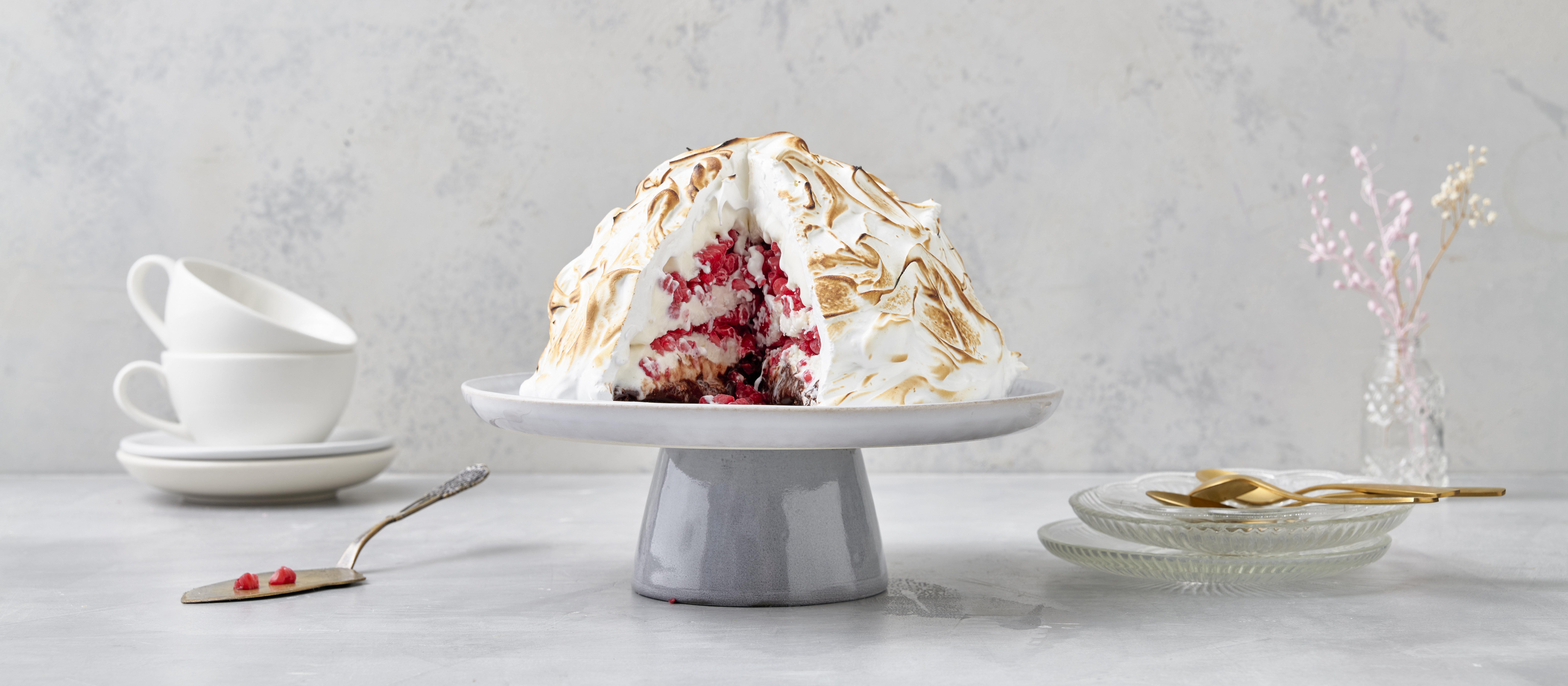 Baked alaska