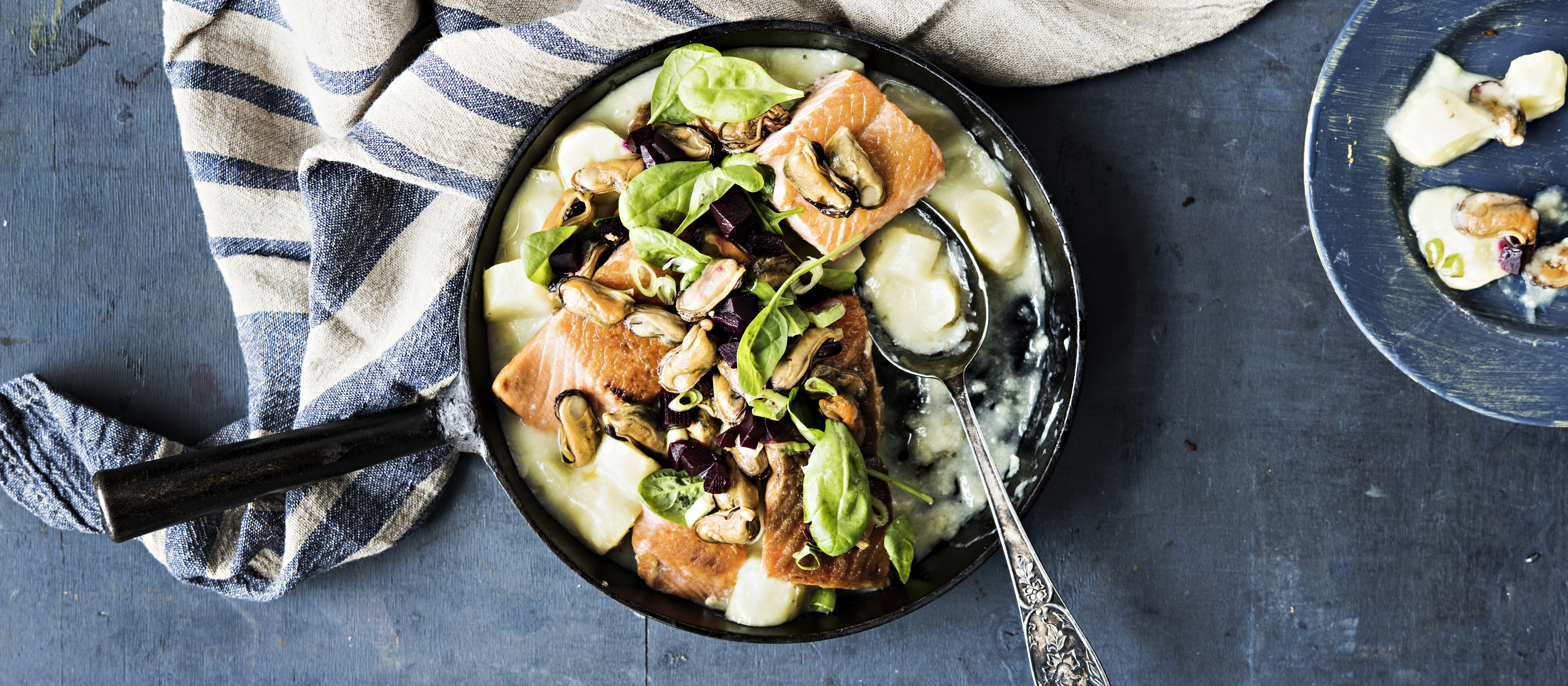 Lohi-mustajuuripannu