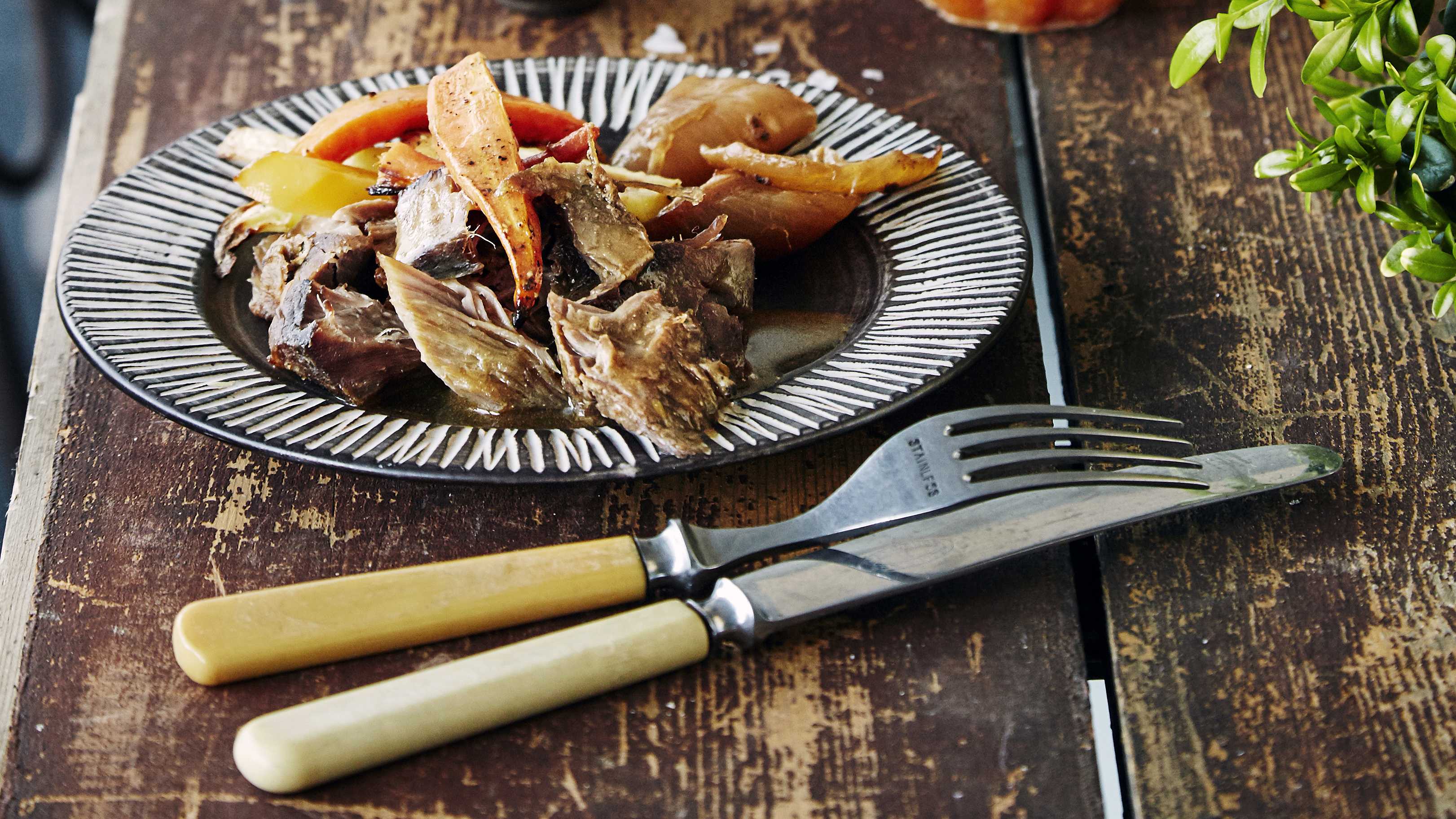 Oluessa haudutettua possua