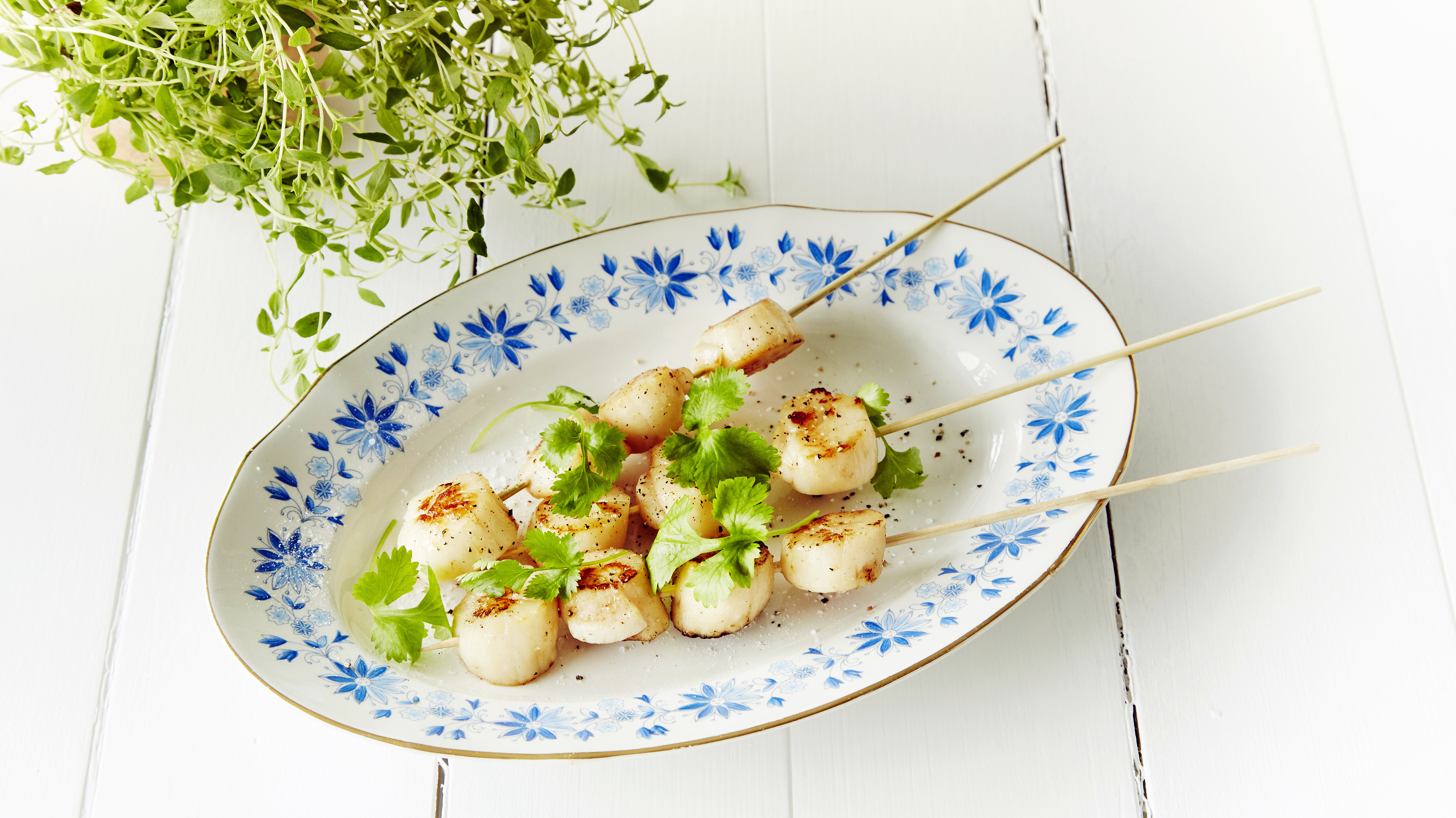 Kampasimpukkavartaat