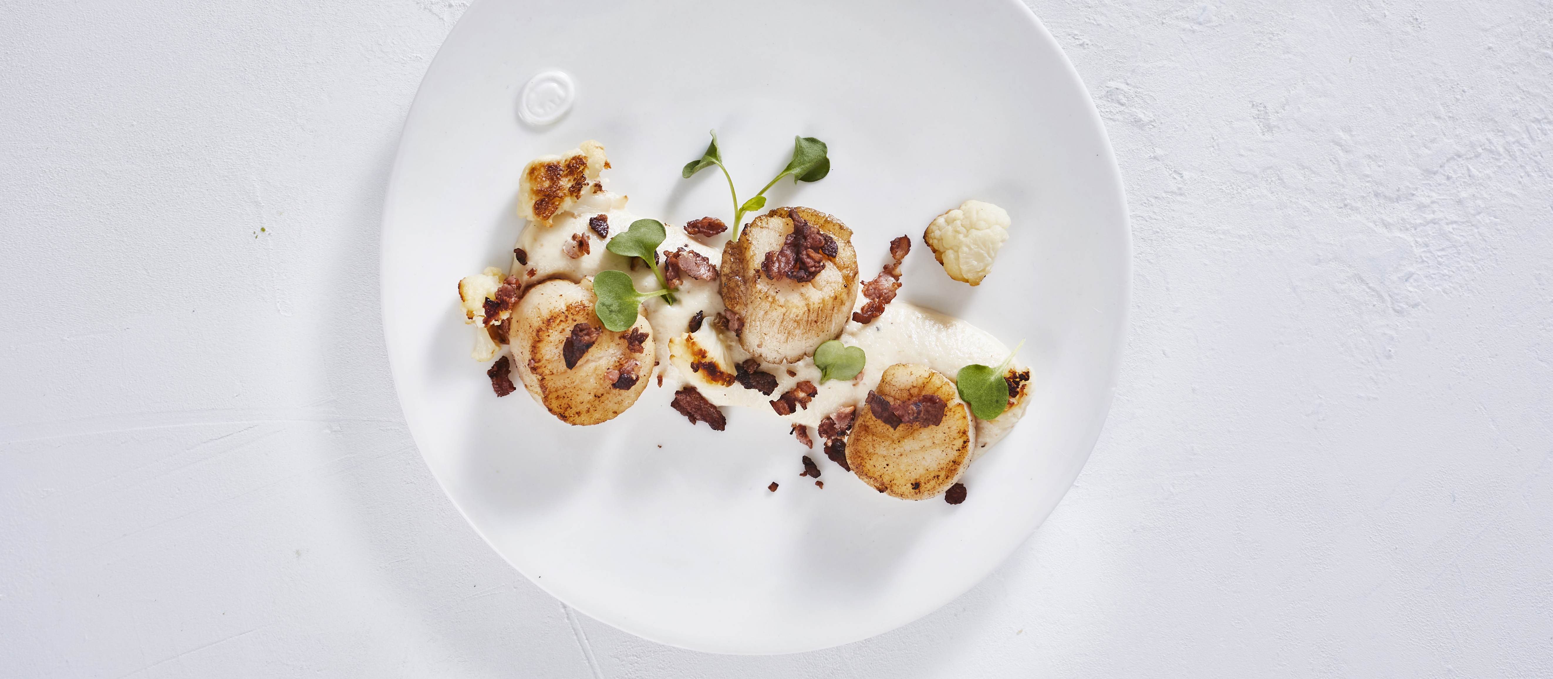 Kampasimpukat ja paahdettu kukkakaalipyree