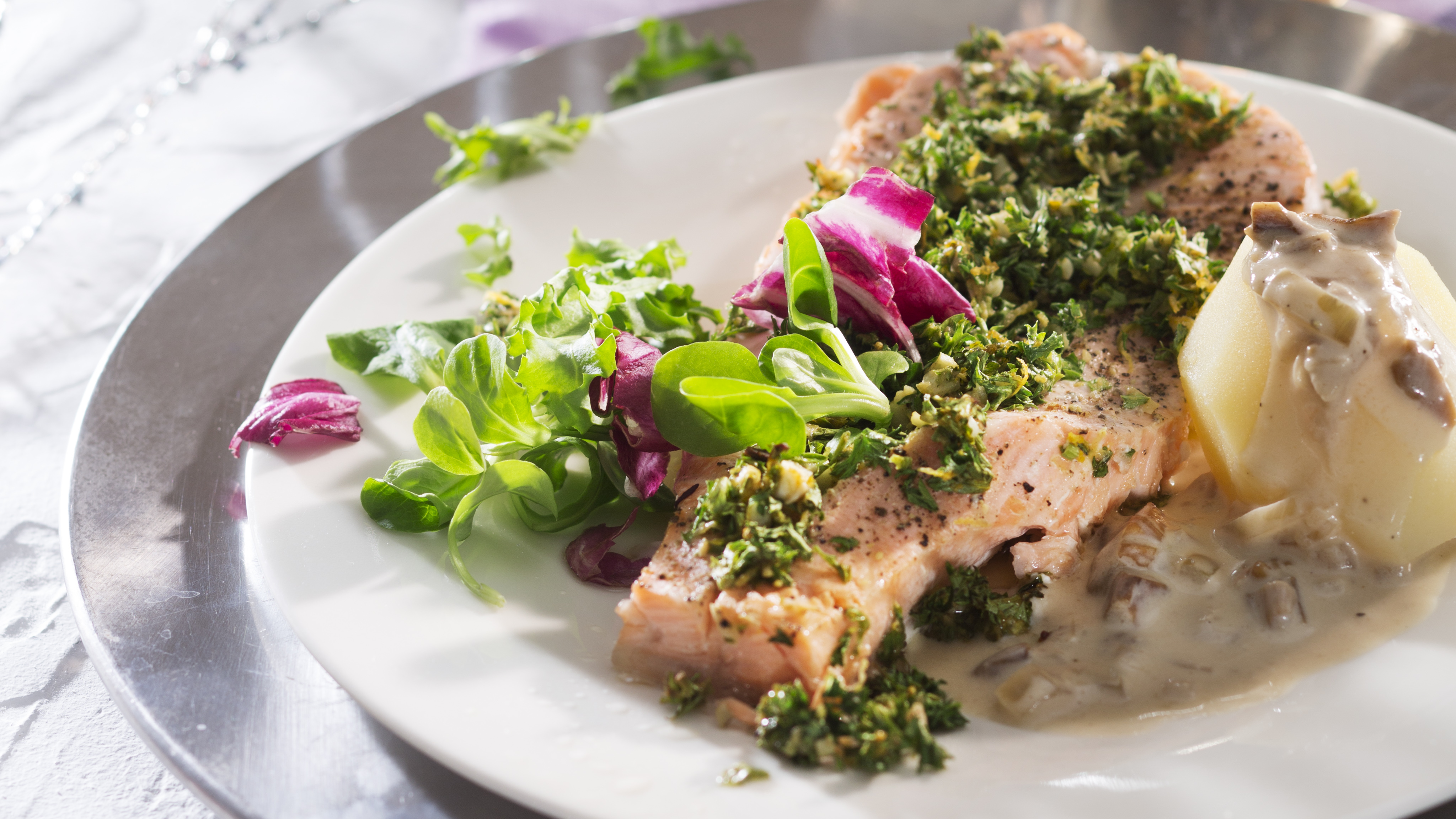 Gremolatalohi ja tattikastike