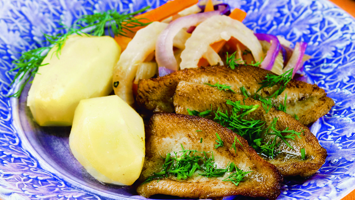 Paistetut ahvenfileet ja fenkolilisäke