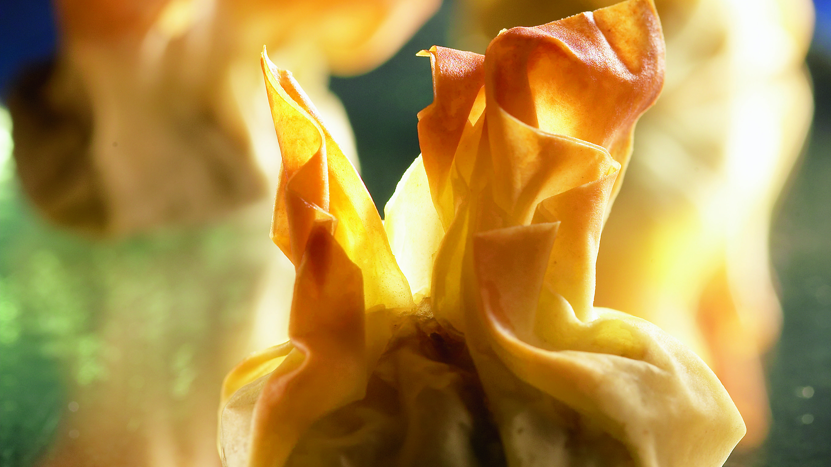 Sienipestofilonyytit