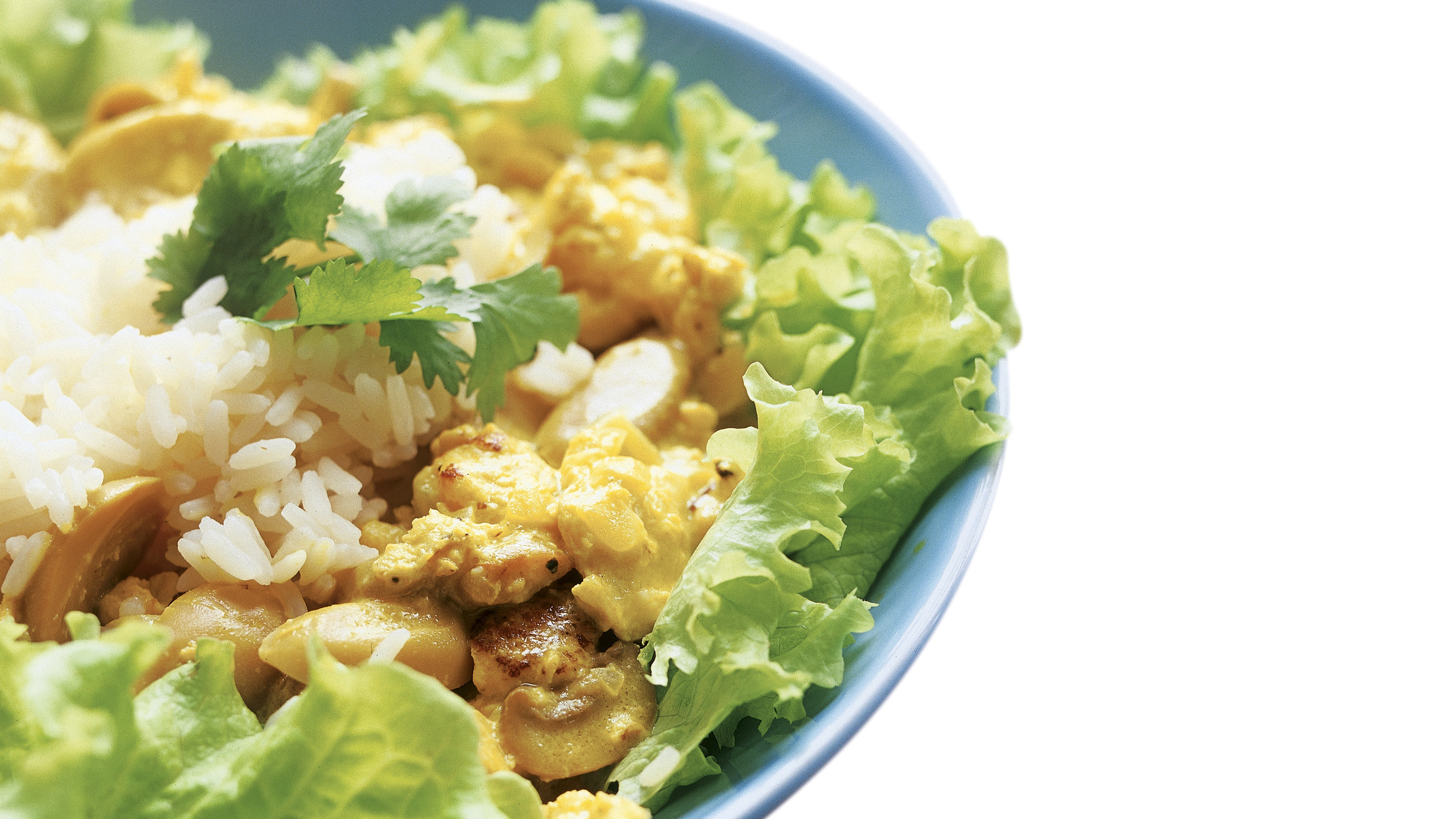 Helppo juusto-broilerikasari