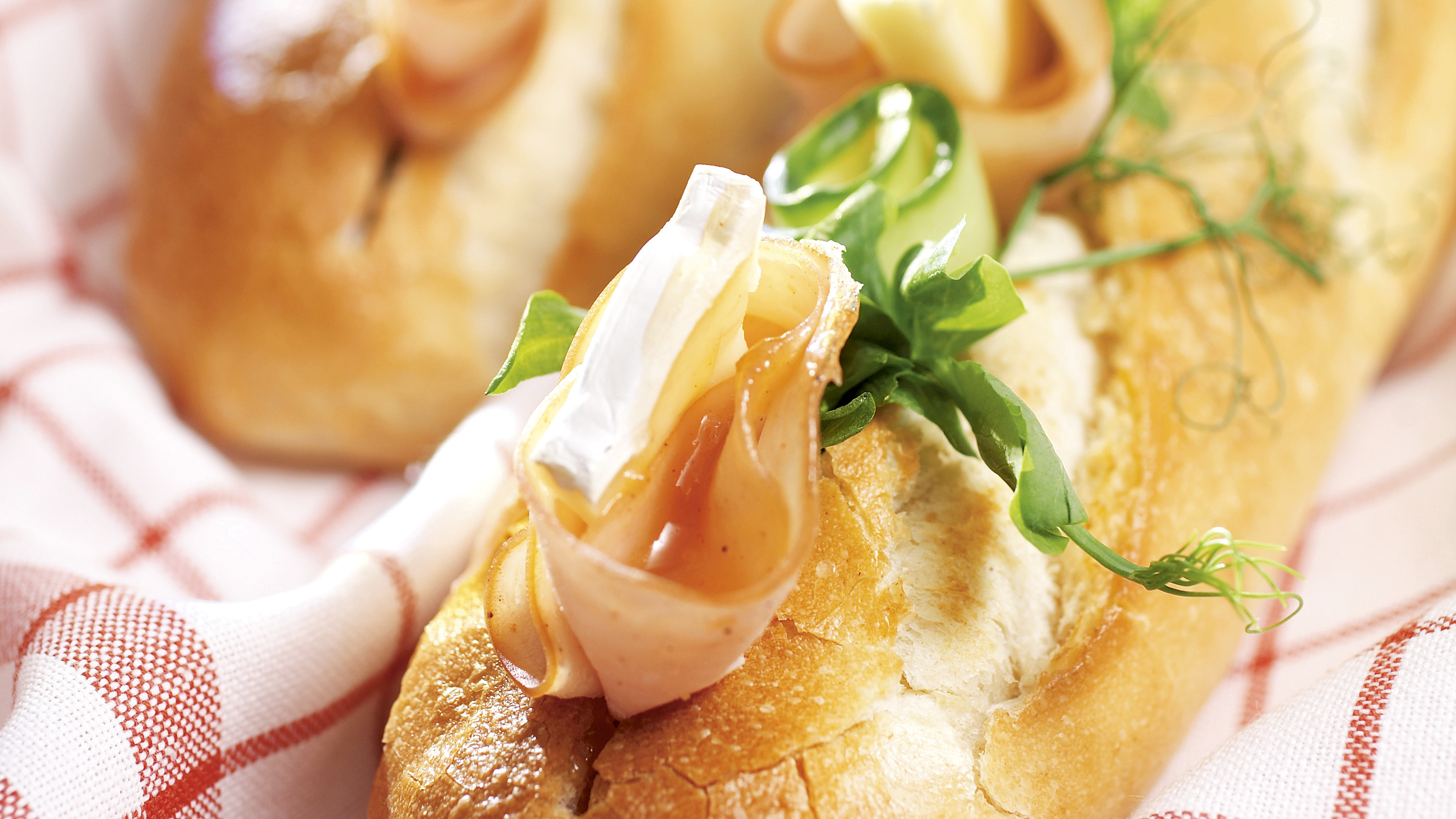 Kalkkuna-briepatongit