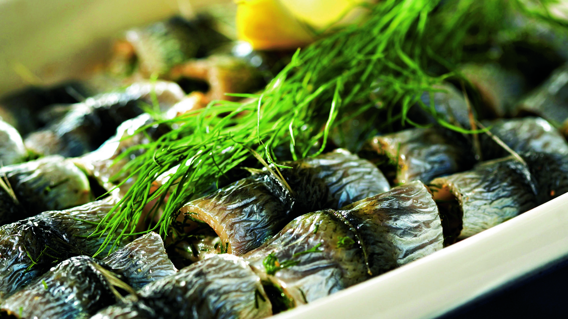 Sipulinen silakkavuoka