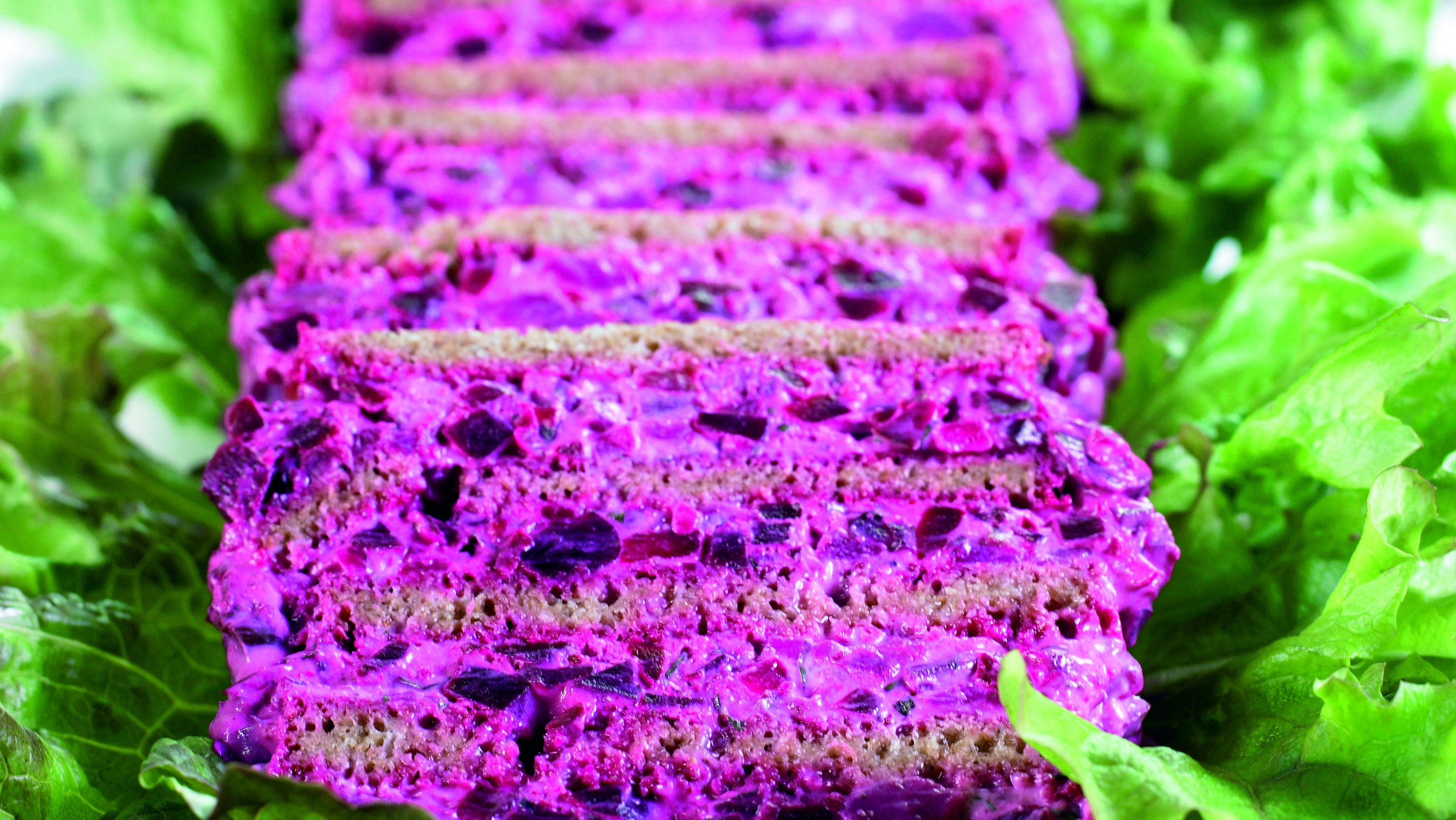 Punajuuri-silliterriini