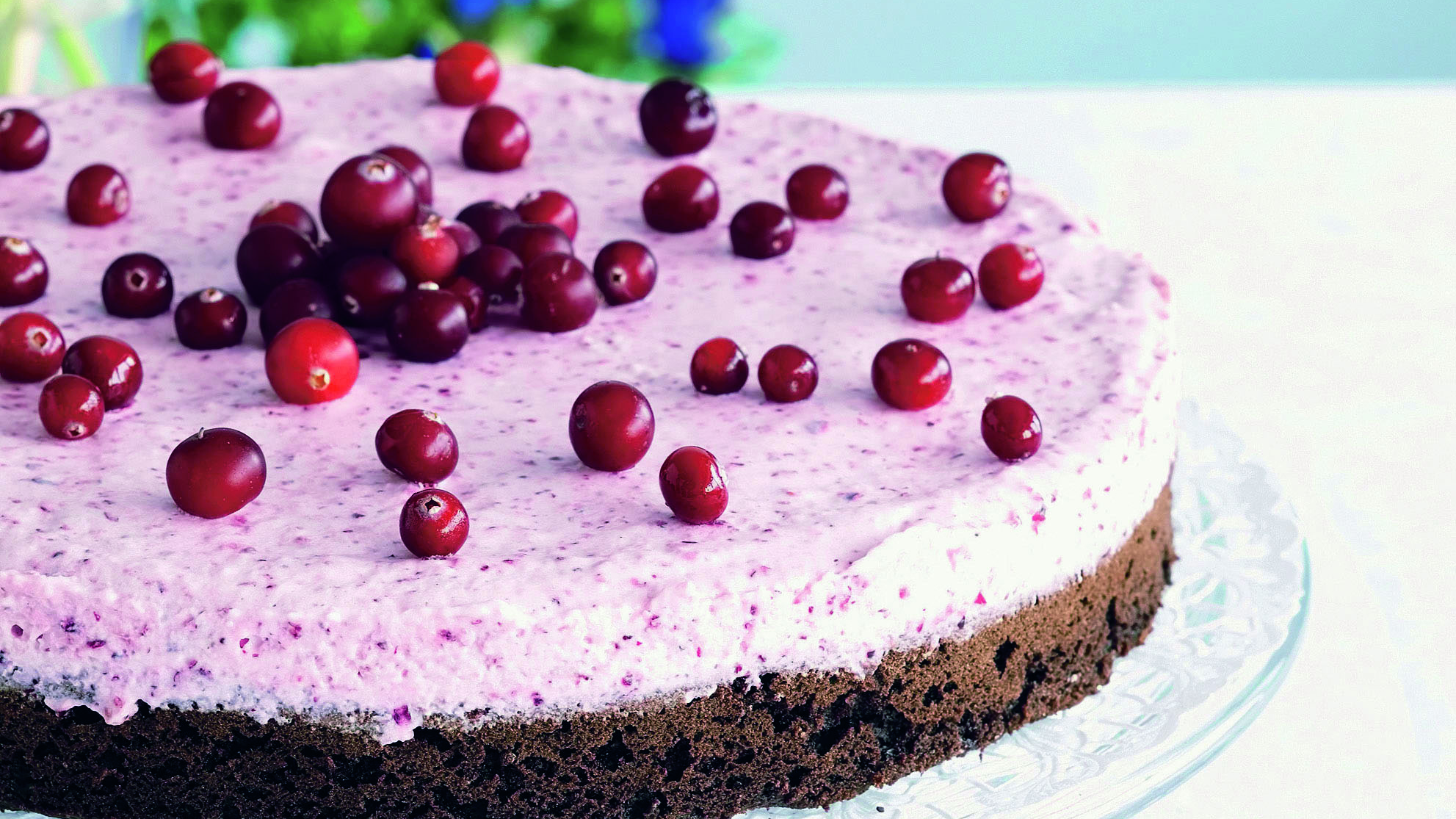 Suklainen karpalomoussekakku