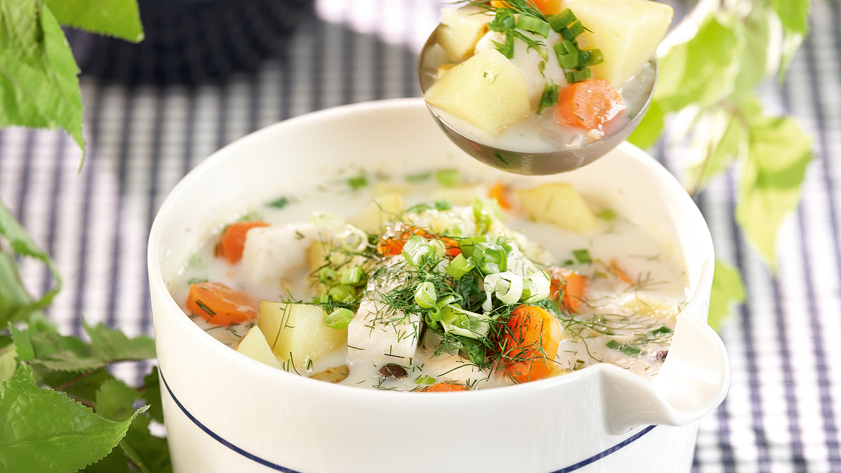 Keitto kalasaaliista