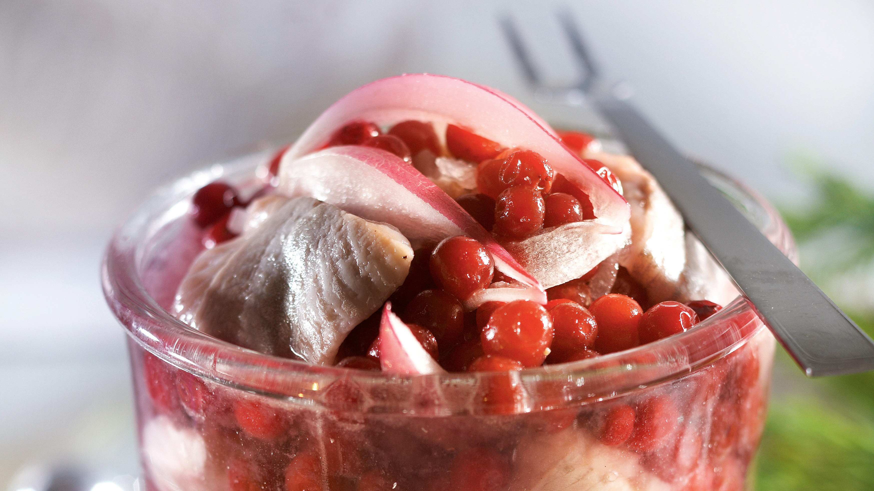 Helppo puolukkasilli