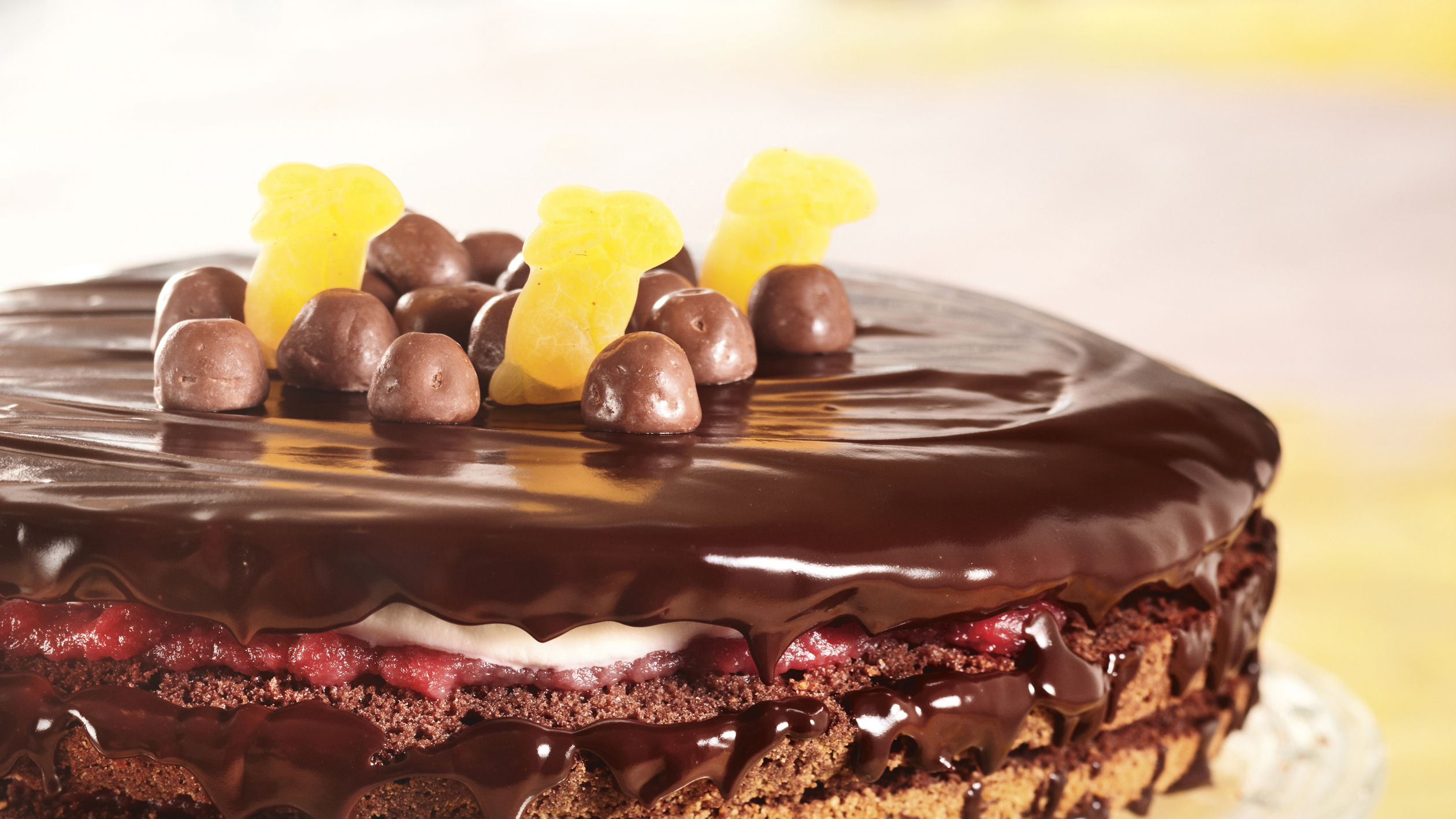 Raparperi-sacherkakku